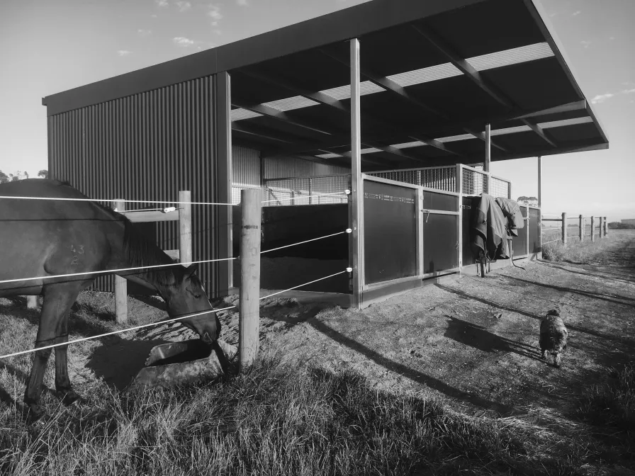 Horse grazing beside undercover stables at Carberry Racing
