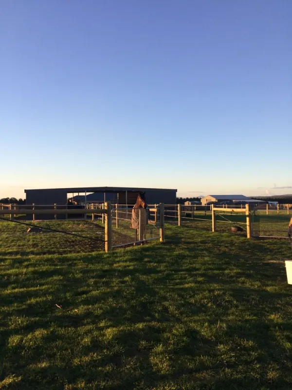 Carberry Racing round yard and stable complex at sunset, Miners Rest