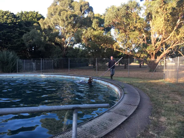 Equine swimming pool at Carberry Racing training facility