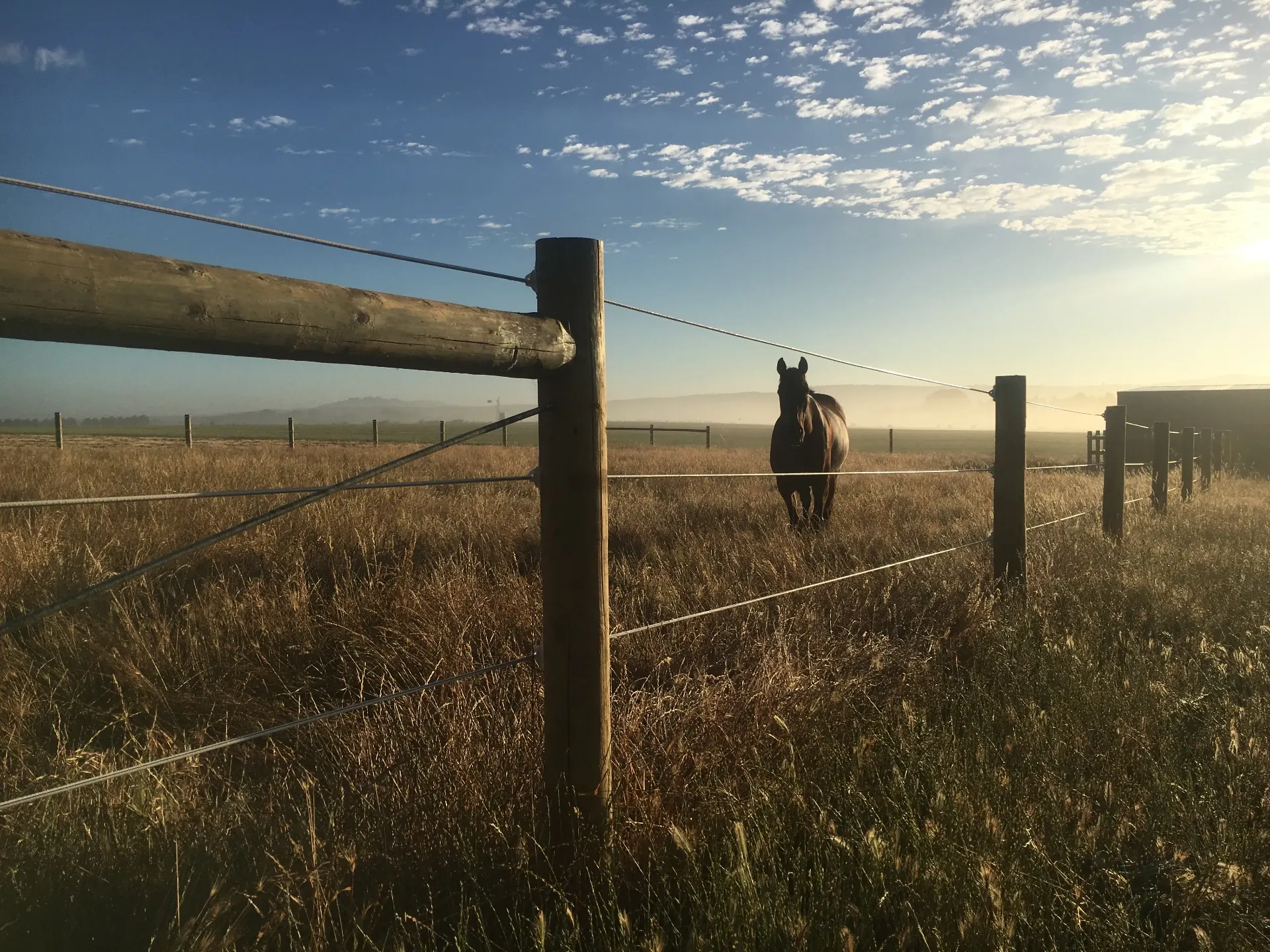 Carberry Racing farm at sunrise, thoroughbred training property in Miners Rest, Victoria