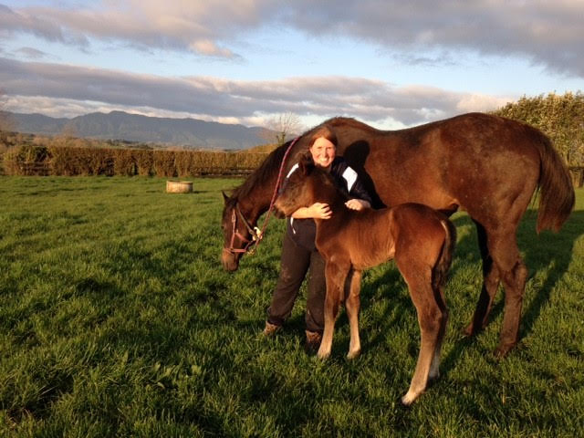 Monique Roche at Rich Hill Stud, New Zealand, equine management diploma